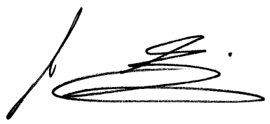 signature john satelmajer